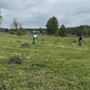 Czynna ochrona w rezerwacie przyrody ,,Gogolewko” Grafika Czynna ochrona w rezerwacie przyrody ,,Gogolewko”