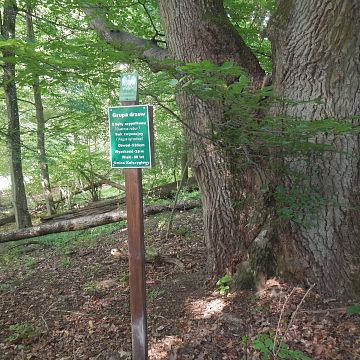 Zakaz wstępu do parku przy pałacu w miejscowości Radusz Grafika Zakaz wstępu do parku przy pałacu w miejscowości Radusz