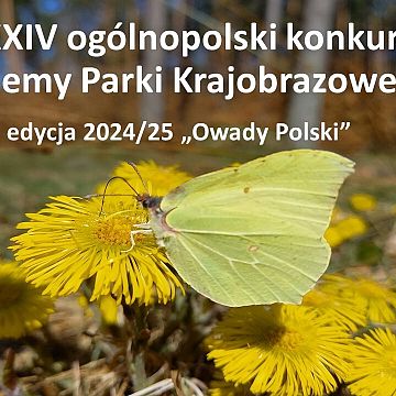 XXIV konkurs Poznajemy Parki Krajobrazowe Polski pn. "Owady Polski" Grafika XXIV konkurs Poznajemy Parki Krajobrazowe Polski pn. "Owady Polski"